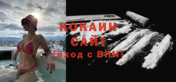 крисы Калининец