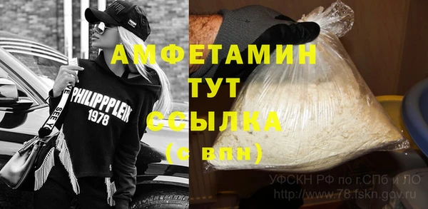 крисы Калининец
